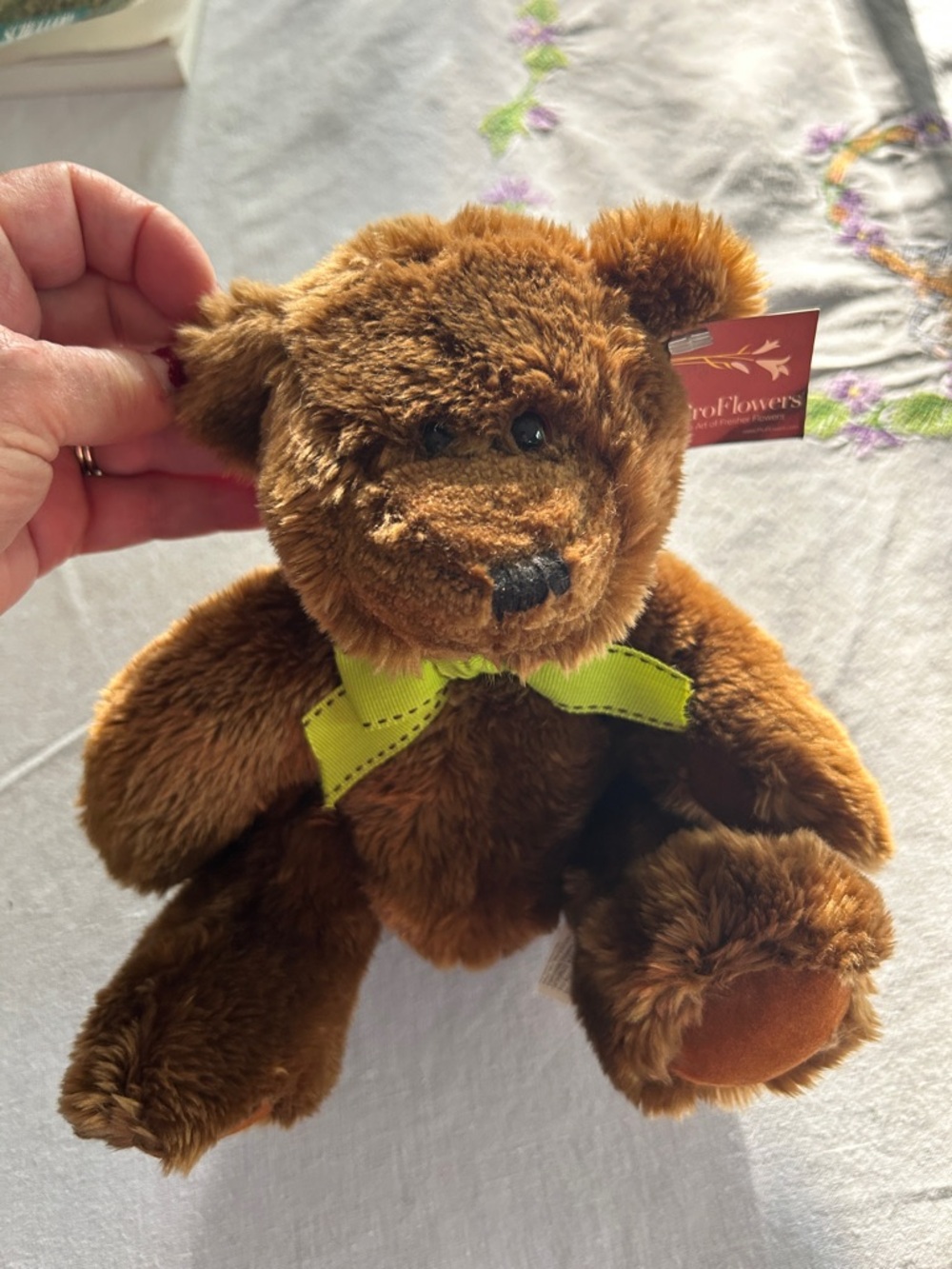 Plush Brown Teddy Bear with Lime Green Bow - Soft Cuddly Toy